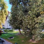MK HausAllgaeu Park