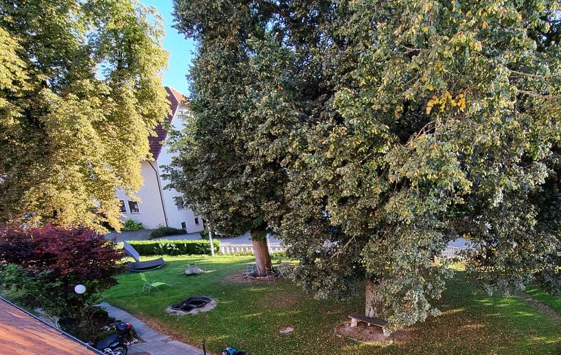 MK HausAllgaeu Park