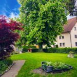 MK Haus Allgaeu Parkanlage