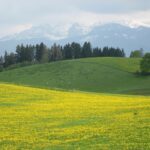Dr Milz Allgaeu